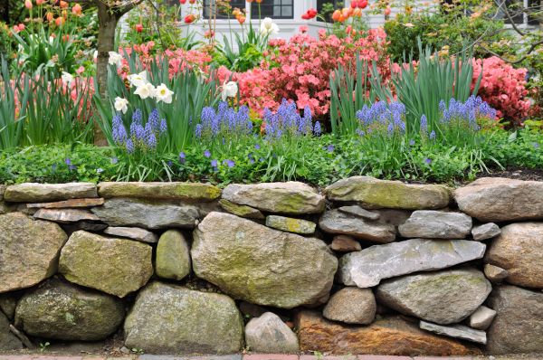Stone Wall Hardscaping in Lewes