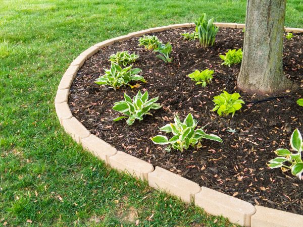 Stone Border Installation in Lewes