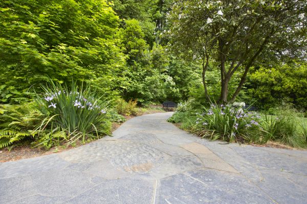 Stone Hardscape Service in Lewes